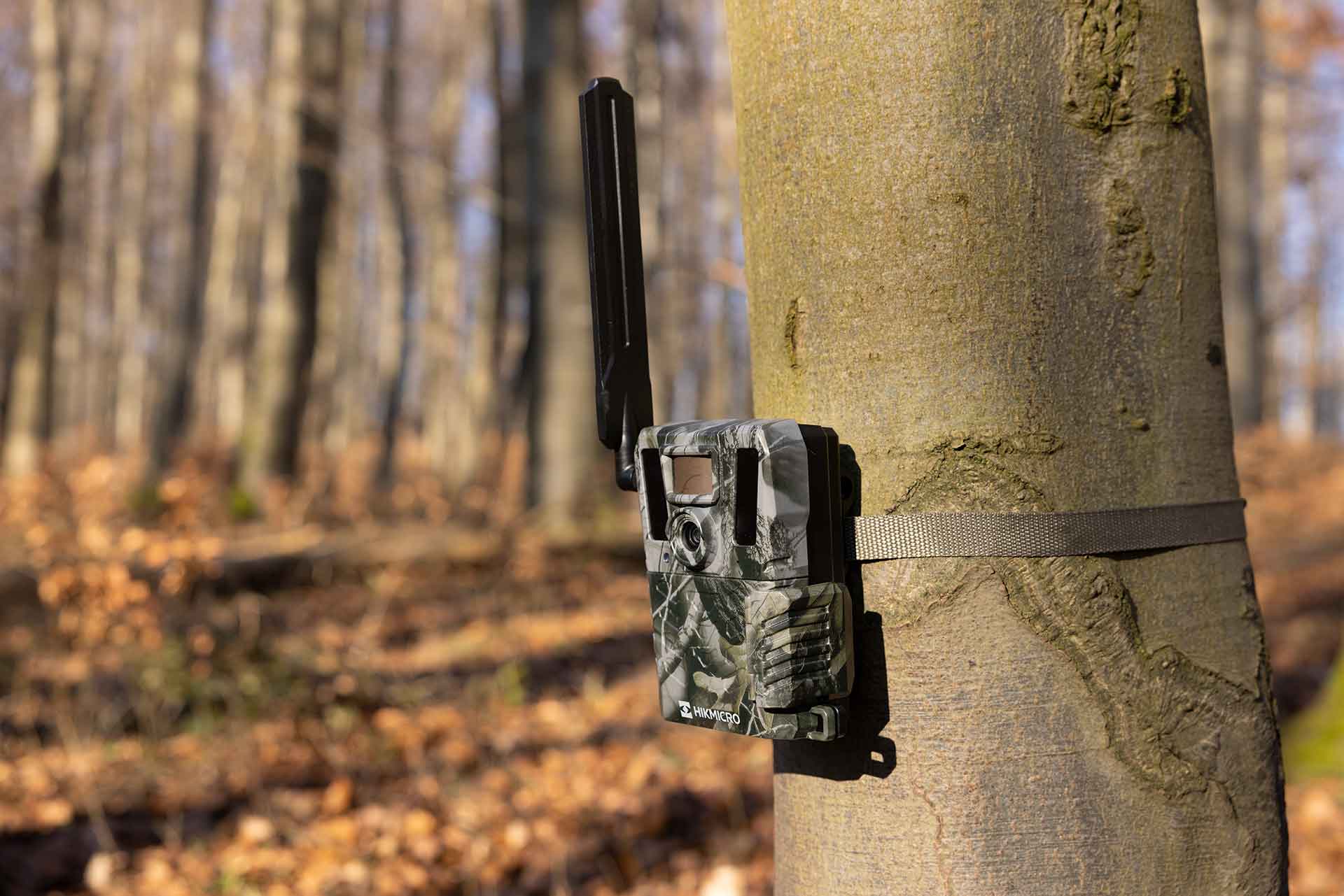 HIKMICRO M15 Trail Camera - Image 4
