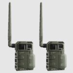 SPYPOINT LM2 Cellular Trail Camera Twin Pack