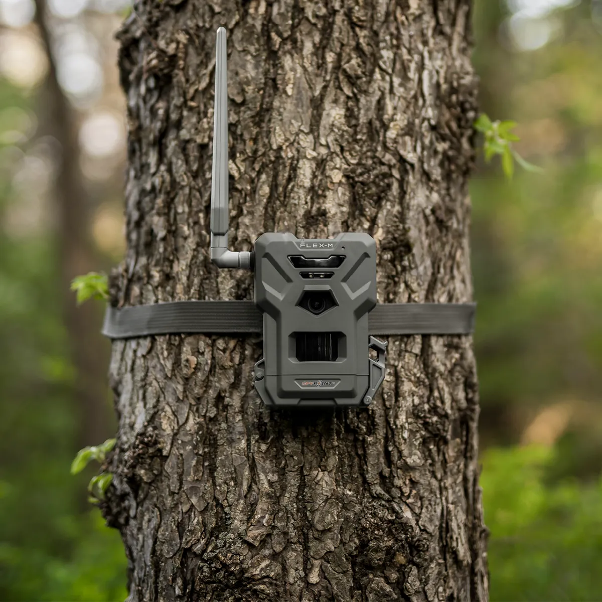 SPYPOINT FLEX M CELLULAR TRAIL CAMERA - TWIN PACK - Image 4